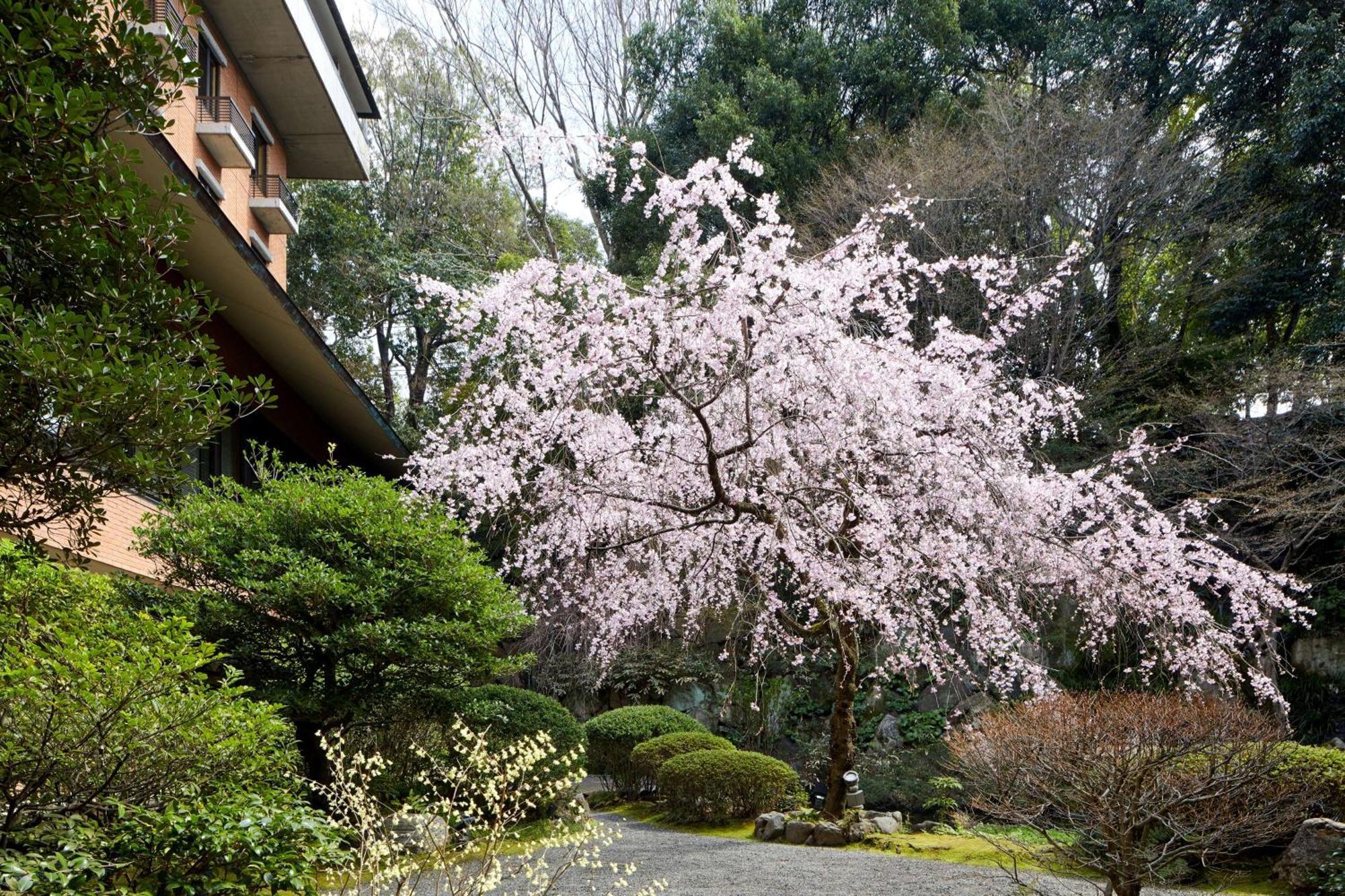 Hyatt Regency Kyoto Hotell Exteriör bild